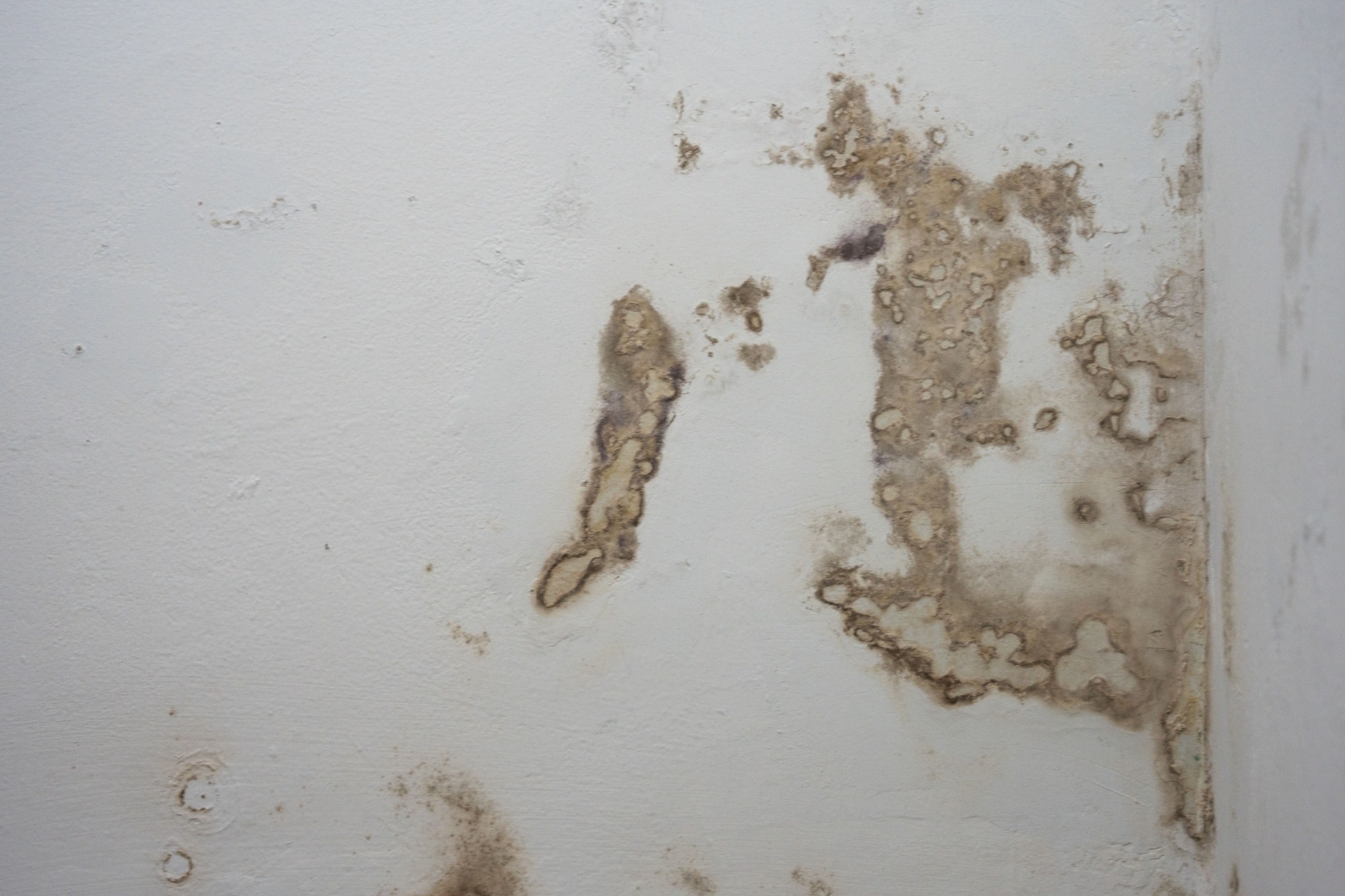 fukt-skader-på-vegg-1